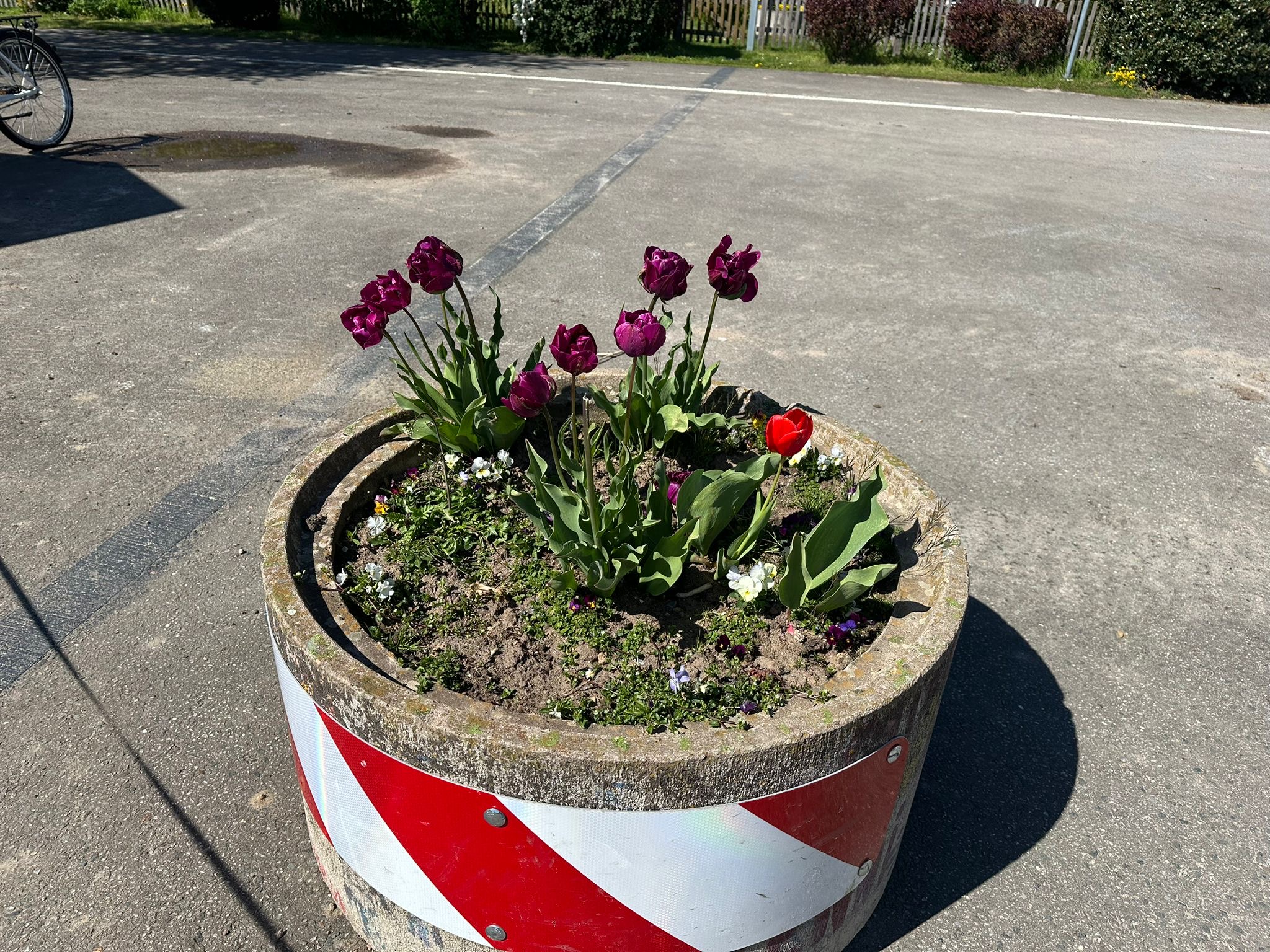 e704b009 61b2 453f 9397 d8ad805a9f7f